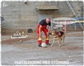 Fotboll-stanna kvar 2 kopiera.jpg