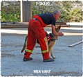 Sändande mot Frolic.jpg